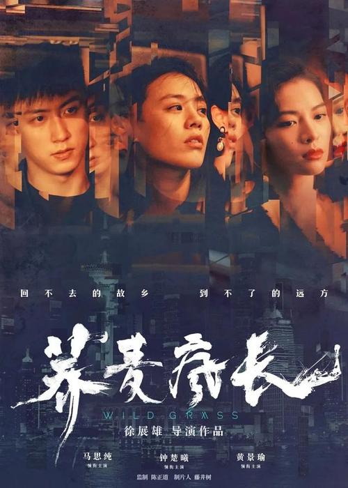 购买仿真统计员证